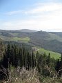 Fiesole - Parco di Montececeri-19